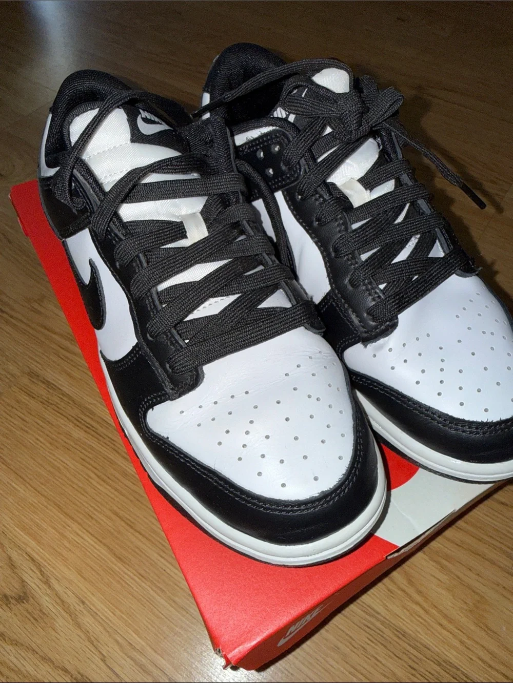 Nike Men’s dunk low retro